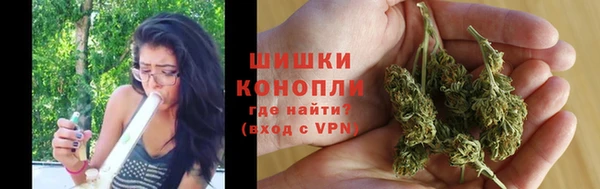 хмурый Нефтекумск