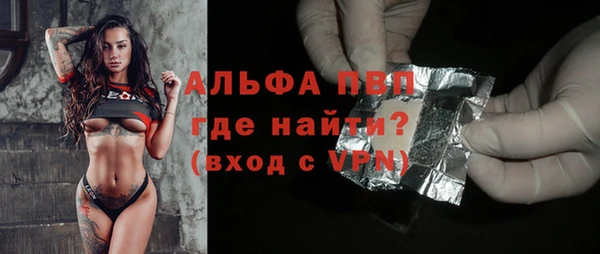 сатива Бабаево