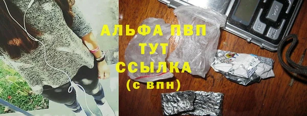 хмурый Нефтекумск